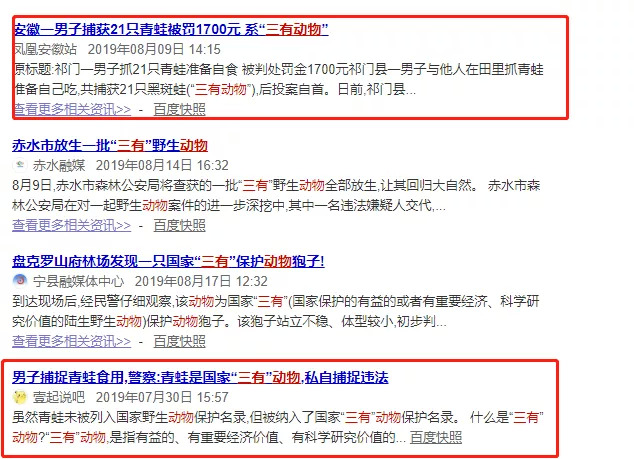 猫咖养小浣熊,小浣熊异宠