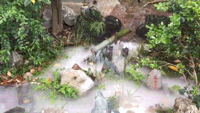 衢州为啥没有衢州鸭头,衢州鸭头不一样