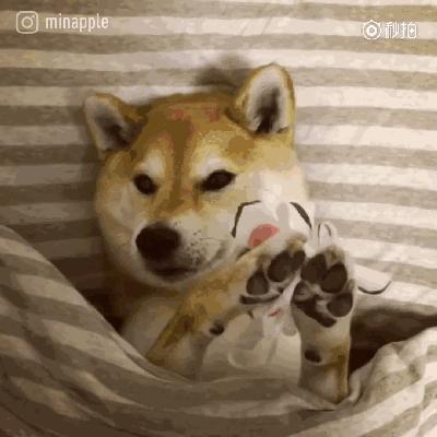 40-50岁面膜排行榜提拉紧致面膜,2022面膜排行榜前十名