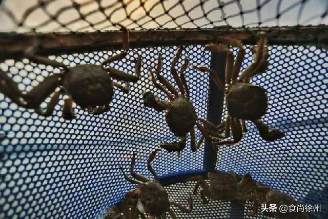 阳澄湖大闸蟹蟹黄蟹膏哪种好吃,去阳澄湖吃大闸蟹蟹黄