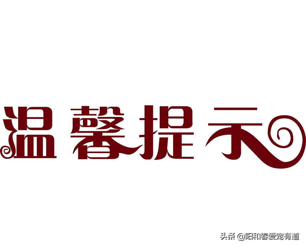 猫咪调理肠胃益生菌推荐,猫咪吃益生菌后反而呕吐