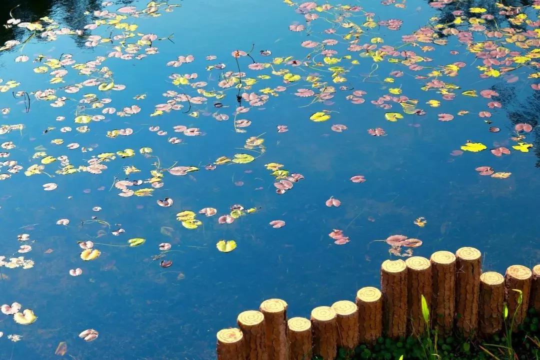 退休后就去国内旅游,退休后必去的100个景点