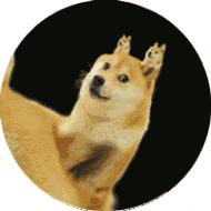 学生体育课深蹲视频,体育课深蹲的女生视频