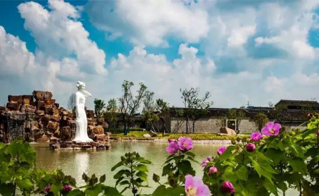 泗阳好吃的美食排行榜前十名,宿迁泗阳美食特色推荐膘鸡