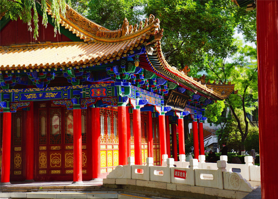 宁夏银川街心公园,银川兴庆区宁园门票多少