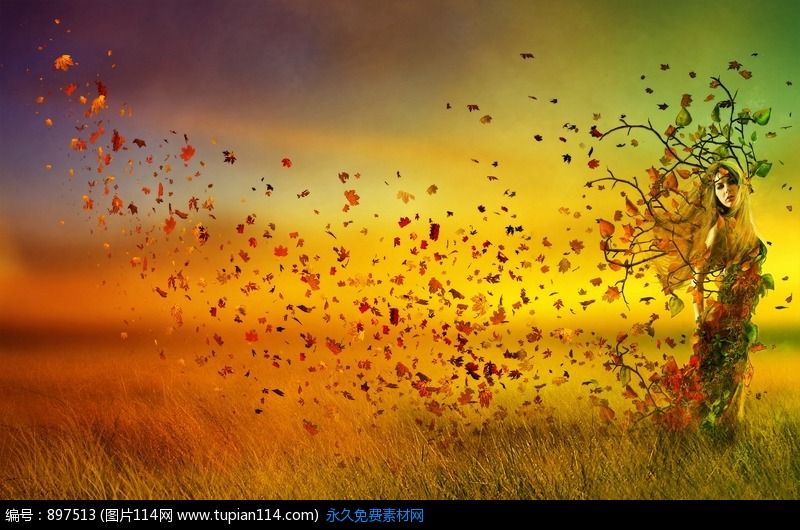 跌跌撞撞的青春是什么样的,告别跌跌撞撞的青春