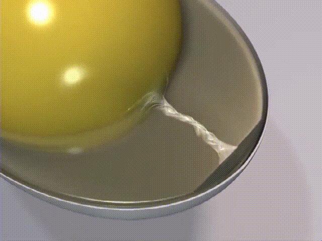 超生动|家禽生殖系统结构和禽蛋形成过程