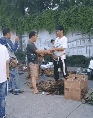 横店群演真实生活电影,横店群演真实生活一天