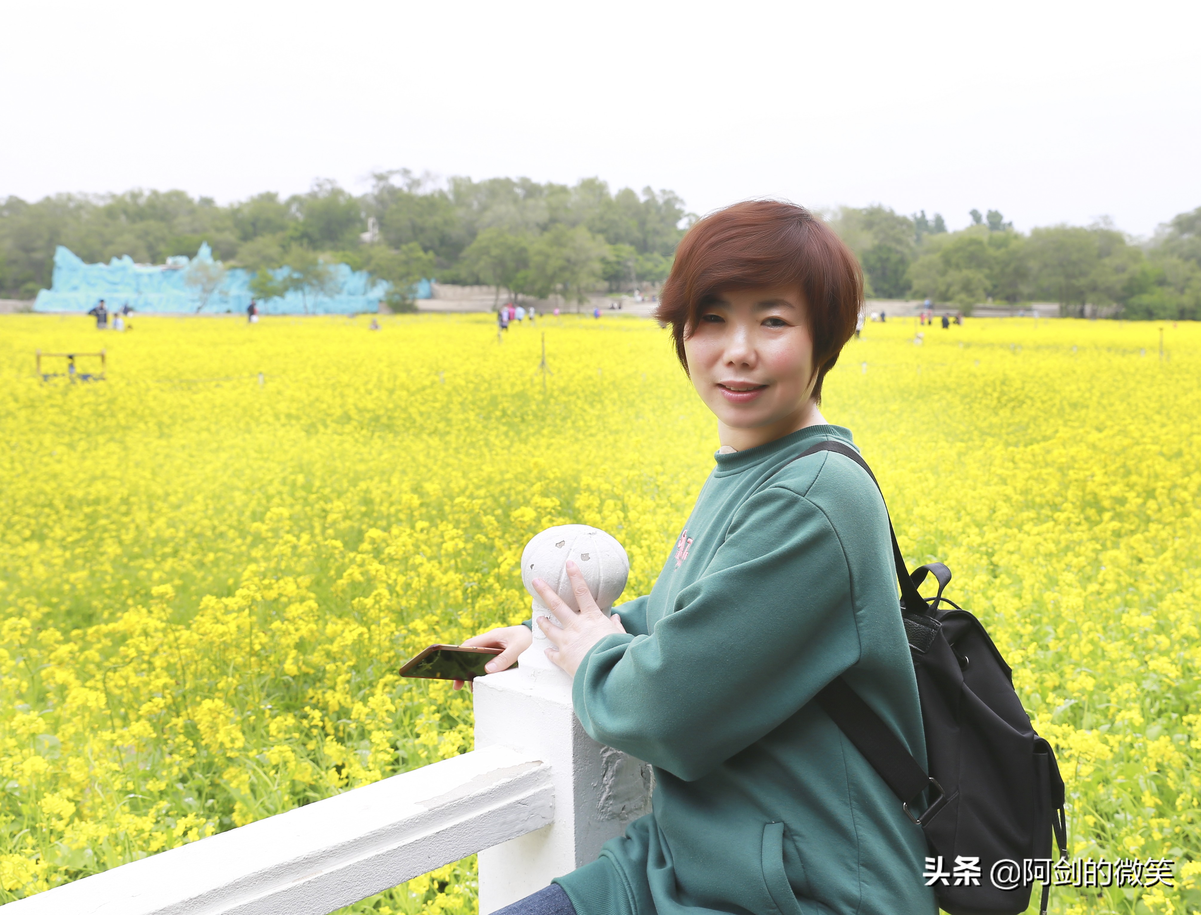 沈阳十一假期哪里有花海,沈阳玫瑰小镇温泉花海两日游