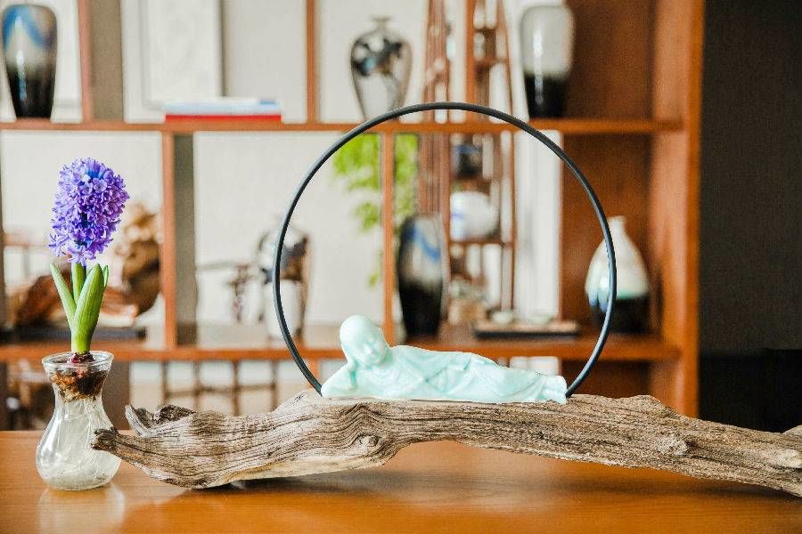 乌镇旅游民宿团购单人,乌镇民宿客栈80元左右