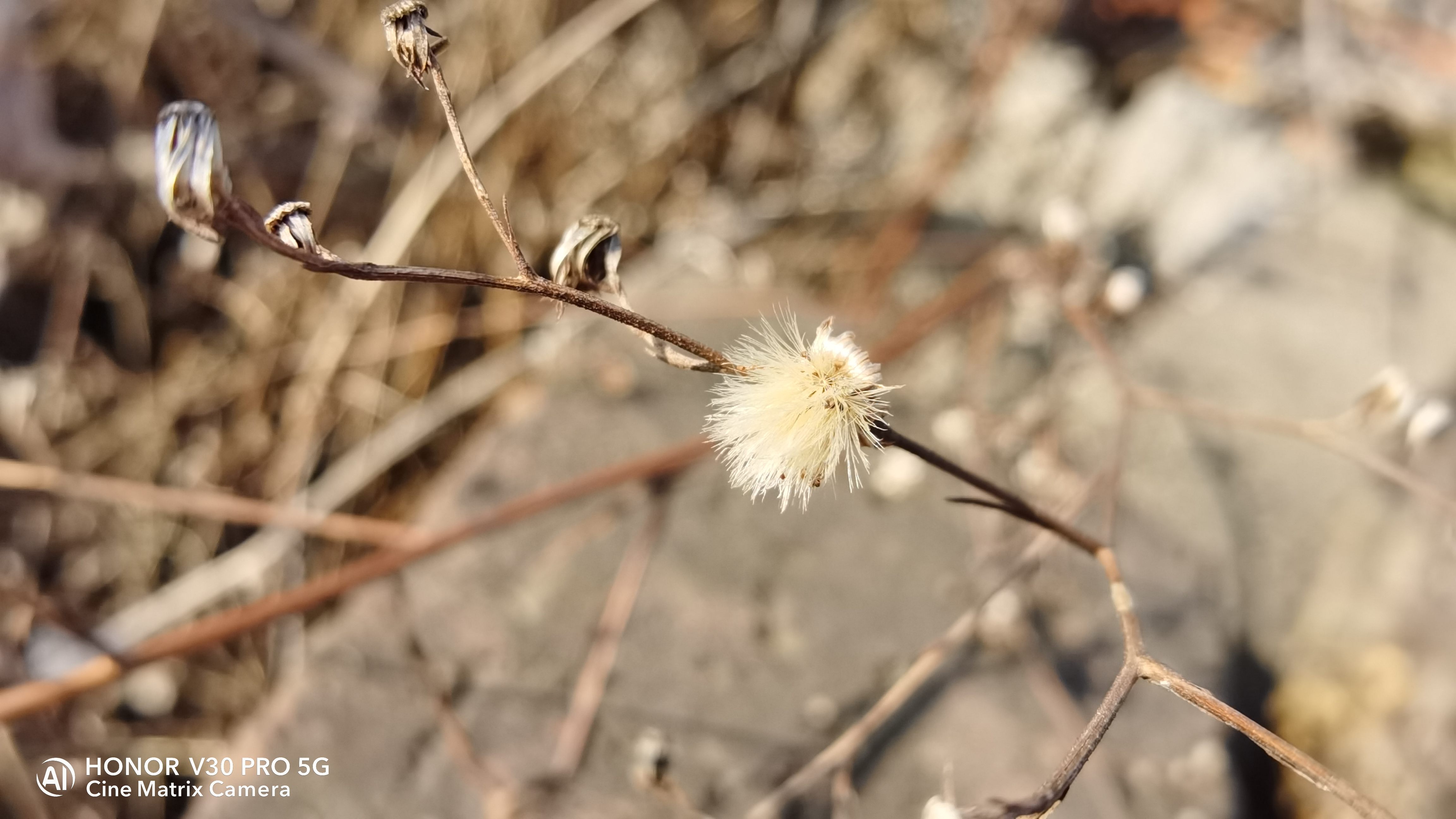 荣耀v30pro拍照现在算落后吗,荣耀v30pro和红米k30s至尊版对比