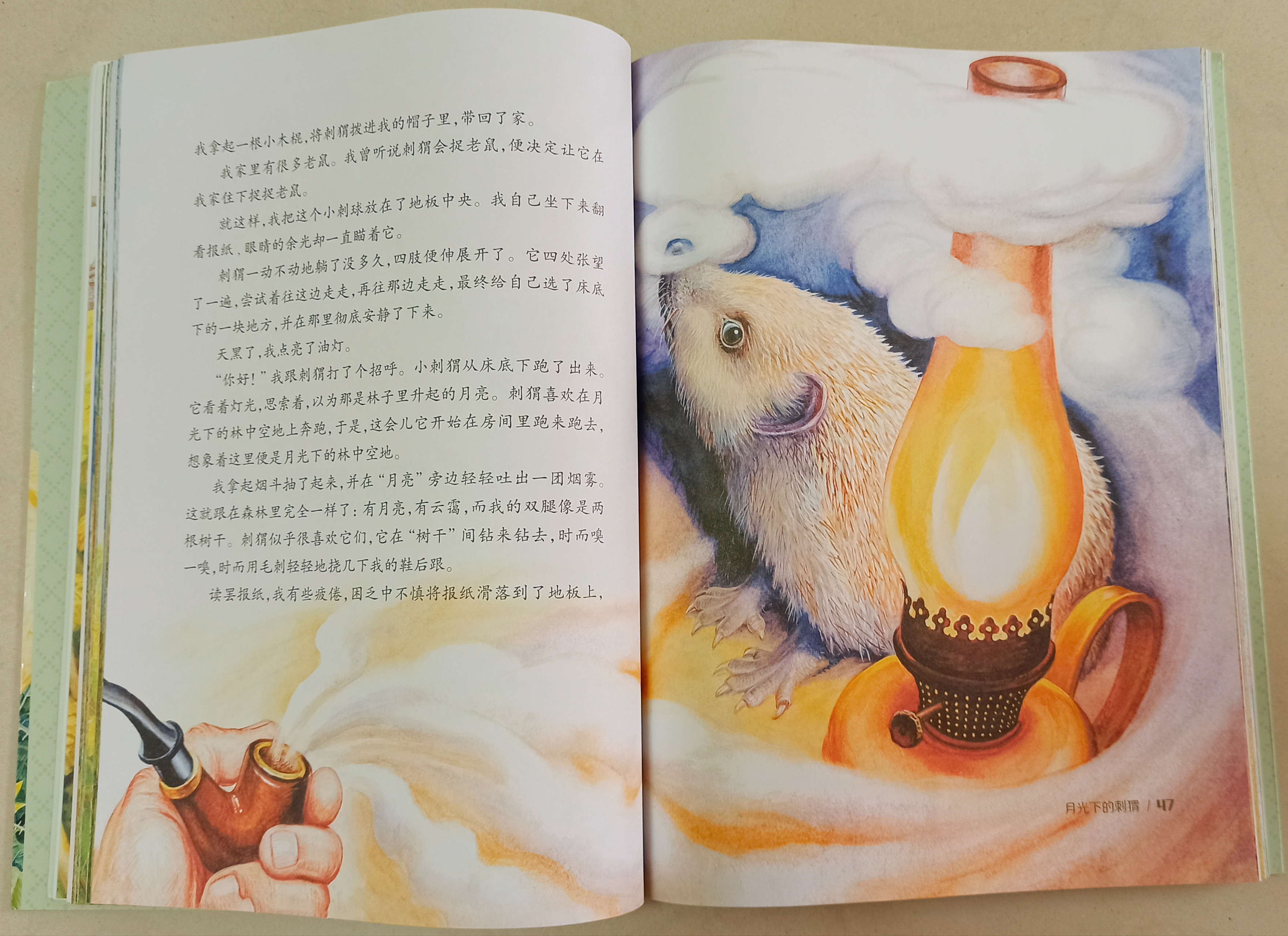 月光下的刺猬，那是儿时的纯真