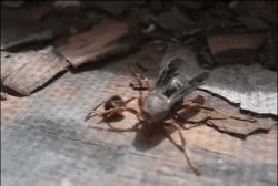 让你心动的搞笑图片,搞笑gif笑死人的动图