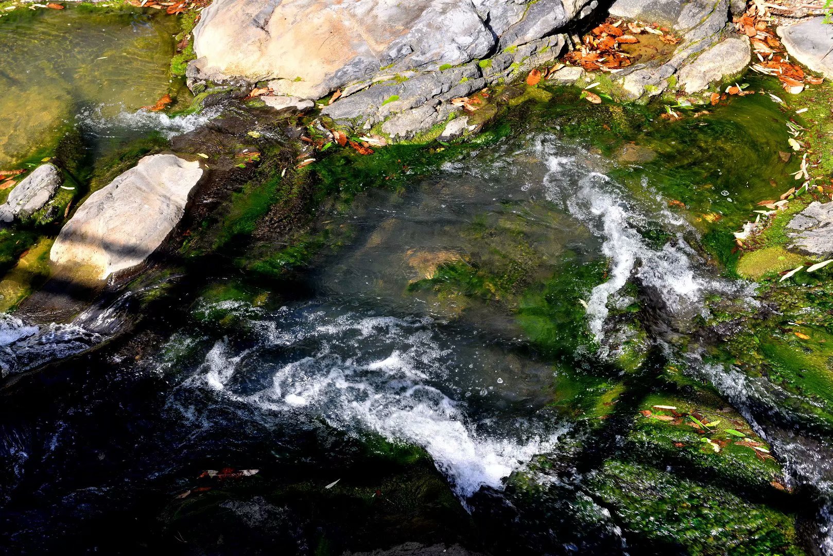 四川山清水秀的村庄,四川十大最美丽乡村