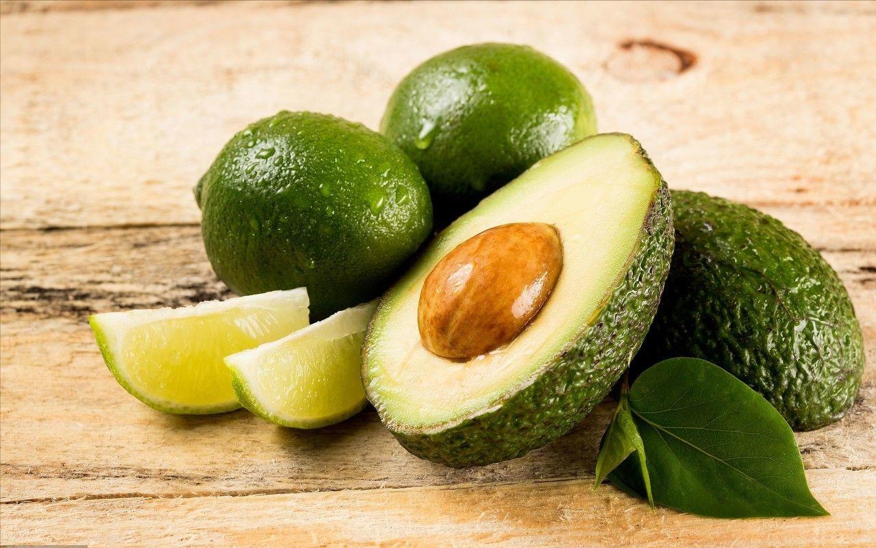 泰迪绝对不能吃的东西是什么,泰迪能吃和不能吃的东西有什么