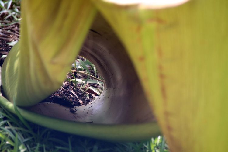 做人不要太精明有时会害了自己,做人要踏实不要玩心机耍小聪明