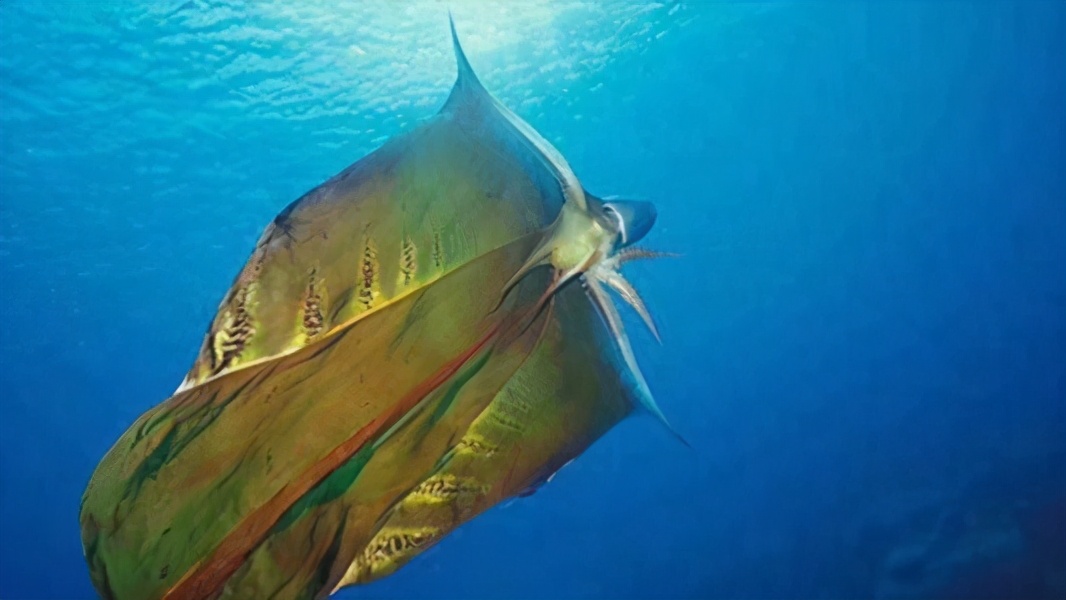 很冷很冷的冷知识故事,很冷很冷的冷知识一年级