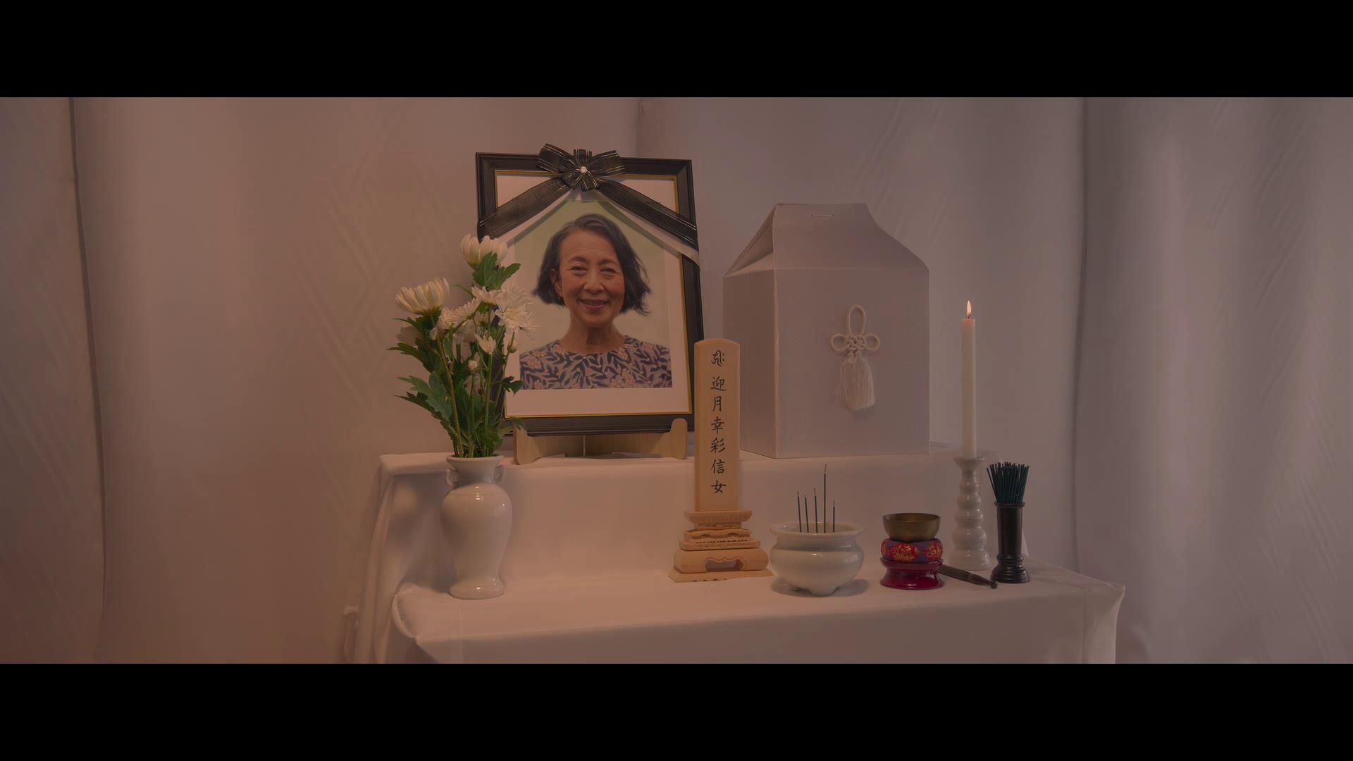 十部顶级治愈系猫片,十部顶级治愈猫的电影