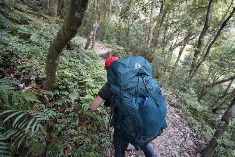 gregory格里高利登山包z40,gregory格里高利男士商务背包