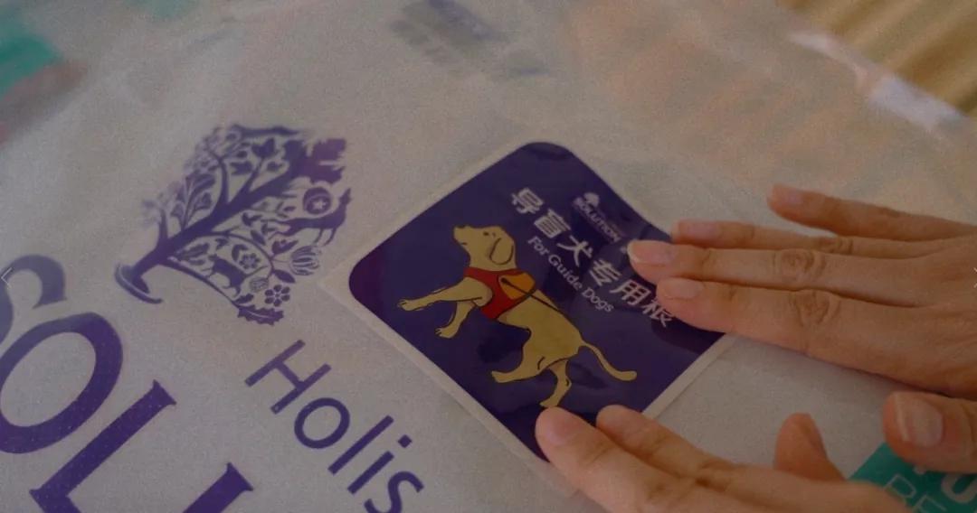 感谢15888名导盲犬支持者，1吨耐吉斯犬粮已送达导盲犬基地