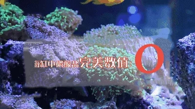 一篇文章带你初步了解,一篇文章弄懂hashmap底层