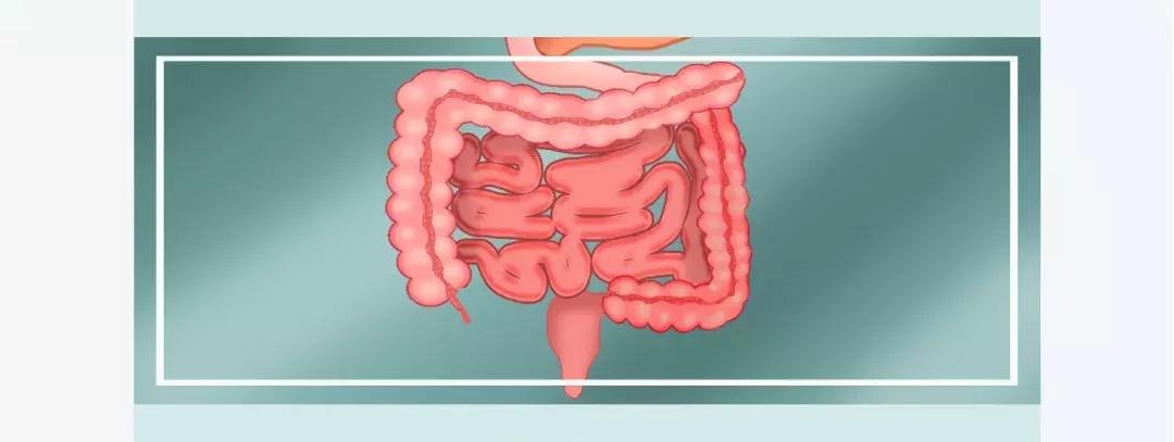 酵素是不是治百病,酵素健康是骗局吗