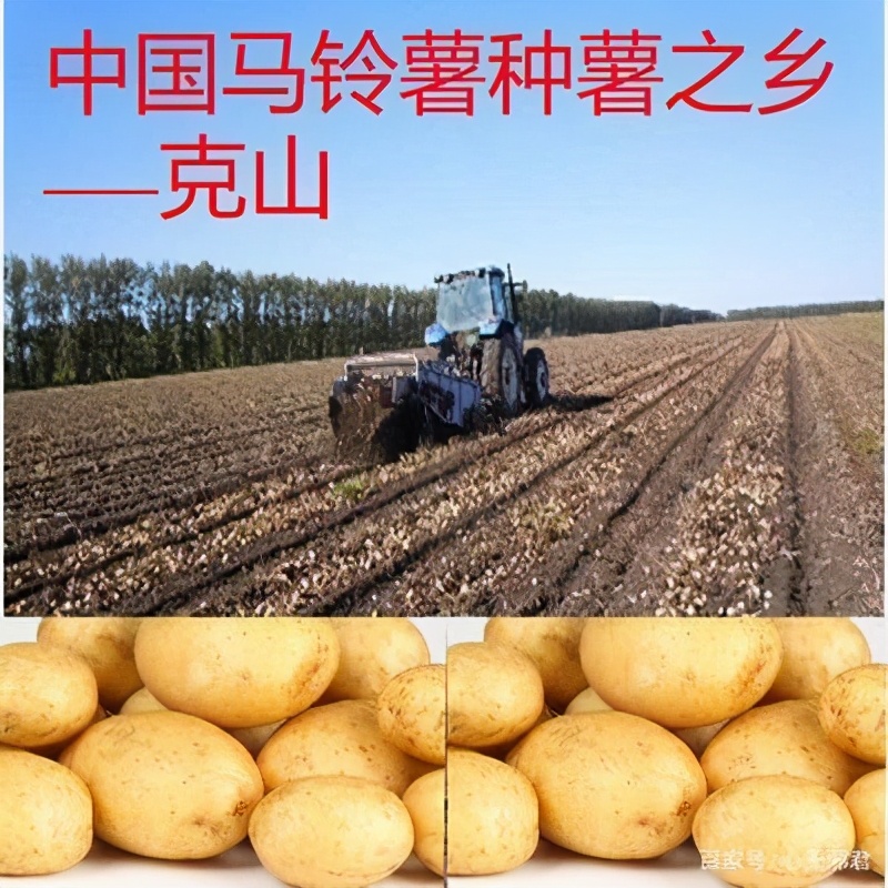 龙江绿色食品有哪些,龙江绿特食品