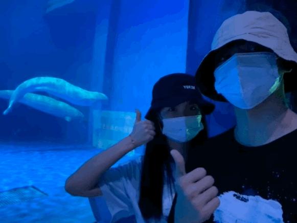 又塌了又塌了,爱情魔力摧毁整个男团