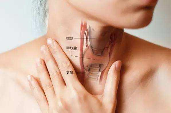 为什么甲亢吃得多不胖,吃得多又不长胖是病吗