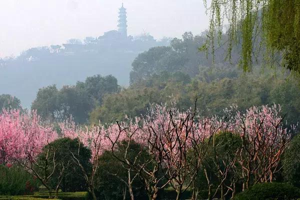 苏州2019旅游日免费景点,苏州旅游名胜十大古迹