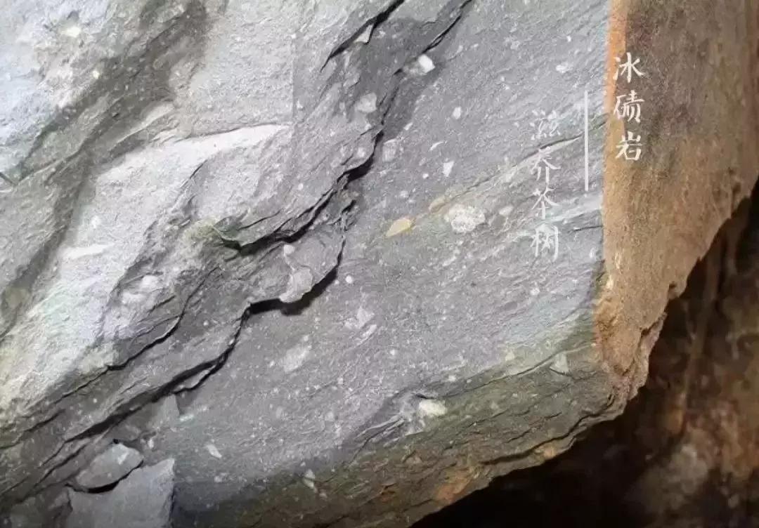 爱茶之人必去的九大茶区,爱茶之人九大茶区