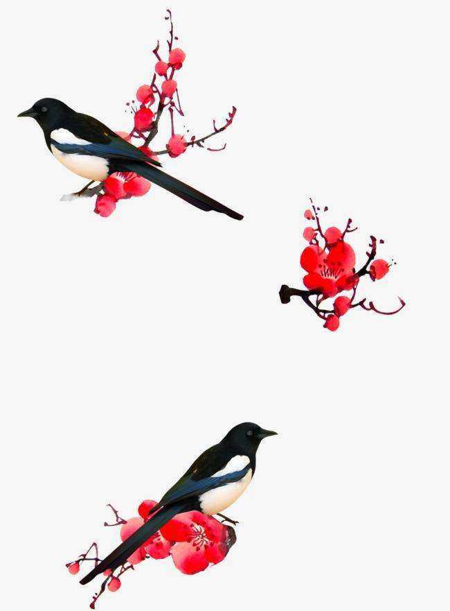 喜鹊报喜乌鸦报丧是客观唯心么,乌鸦报喜喜鹊报丧是什么意思