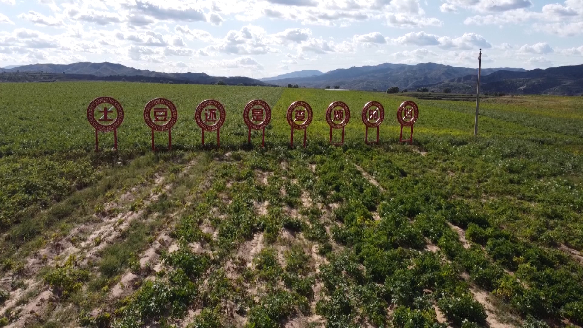 娄烦特产山药疙瘩,太原娄烦种植