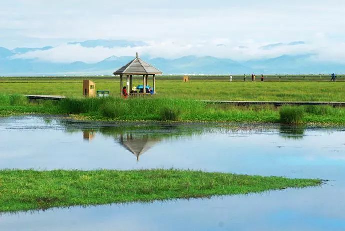 若诗若画若尔盖美景,若诗若画若尔盖文案