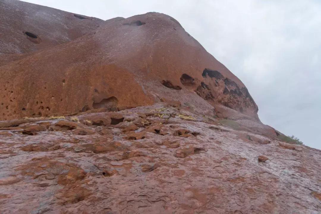 会玩的人一般去哪玩,为什么澳大利亚四面环海