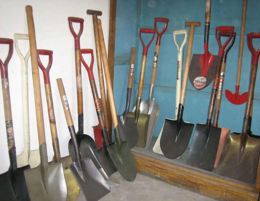 閾侀敼鎶婄嫍澶存媿鍑鸿,82骞村ぇ璞＄墝閽㈤敼