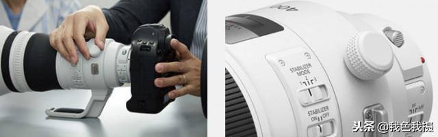 佳能打鸟顶级镜头,佳能平民打鸟推荐