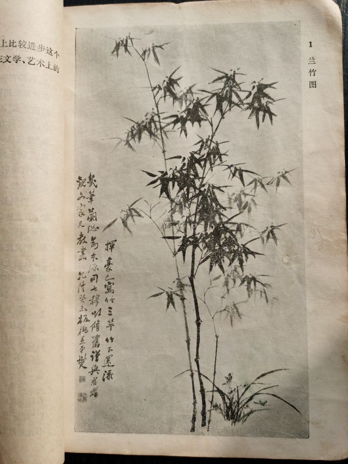 一本书让我对中国水墨产生兴趣影响我绘画梦的首位老师“郑板桥”