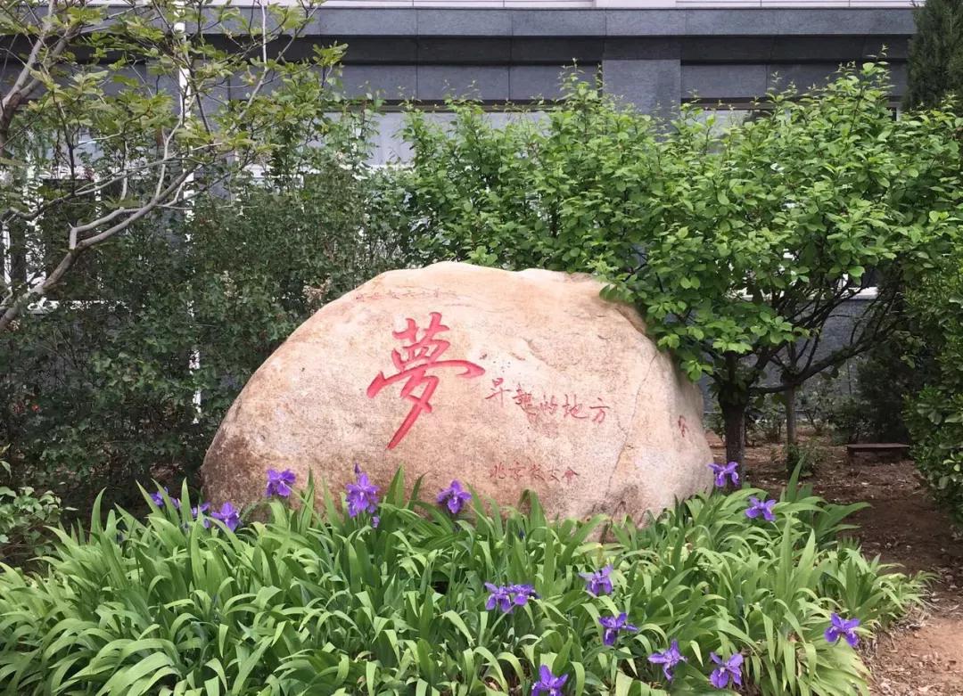 辽宁附属高级中学,辽宁师范大学附属中学2017