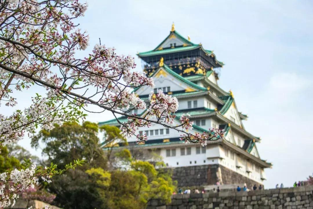 大阪最大的药妆店,去大阪必买的东西护肤品