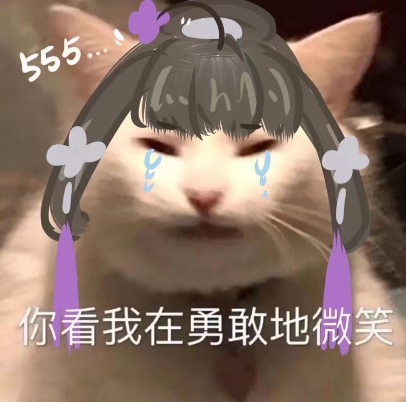 剑网三气纯和剑纯哪个被嫌弃,剑网三气纯详细讲解