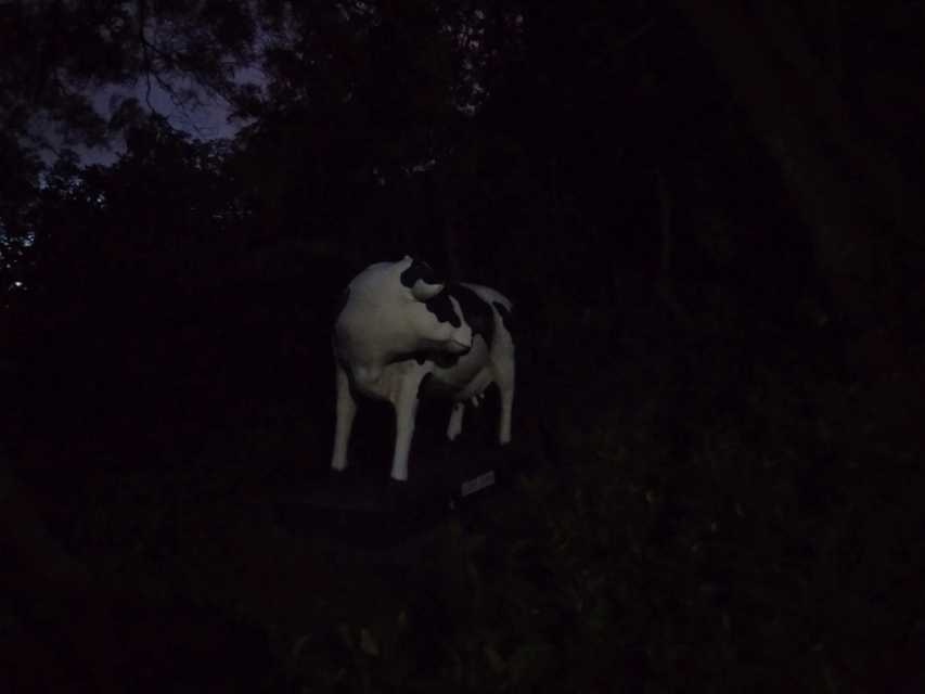 珠海的特色是什么,珠海的吉大是什么