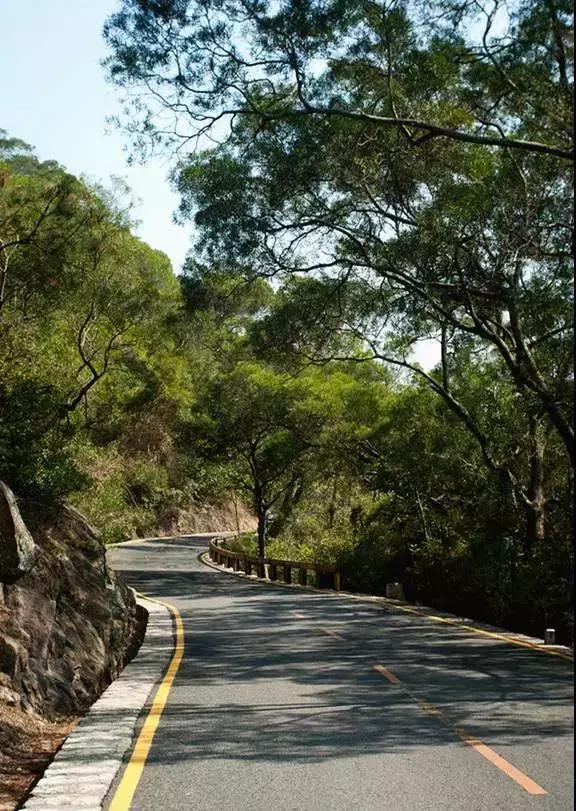 福建十大顶级民宿,福建特色民宿推荐
