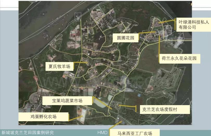 新加坡现代农业,新加坡农业新模式