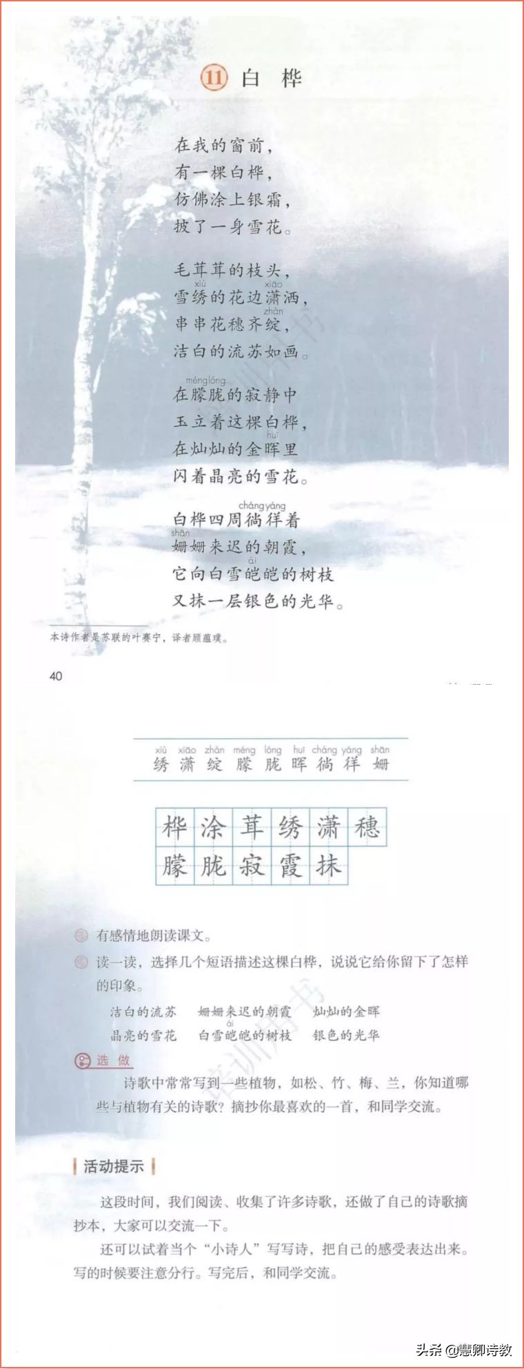 部编版四年级下册语文白桦笔记,部编版四下语文白桦优质教学设计