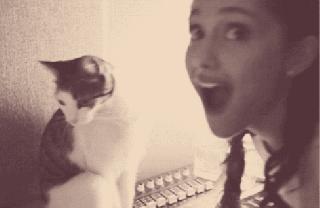 抑郁症患者养猫好还是养狗好,抑郁症的人养猫狗能有帮助吗