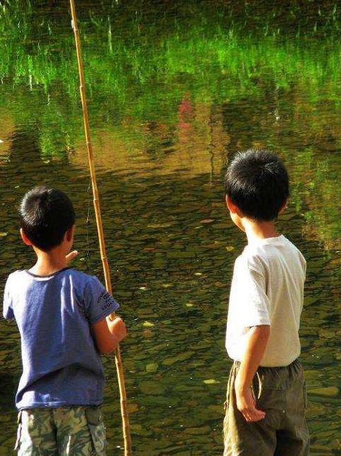 你因为选错浮漂错过了多少鱼？浮漂选择好，鱼获少不了。