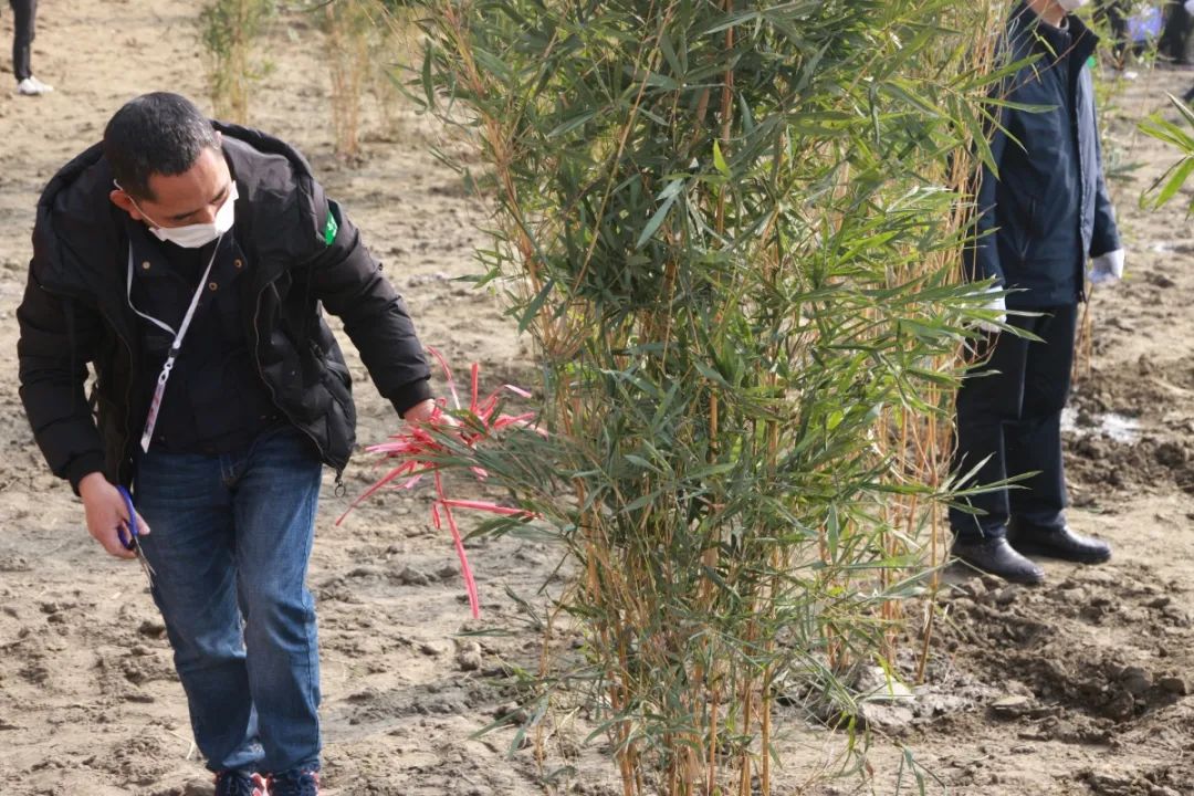 成华区新建湿地公园有哪些,成华公园还在吗