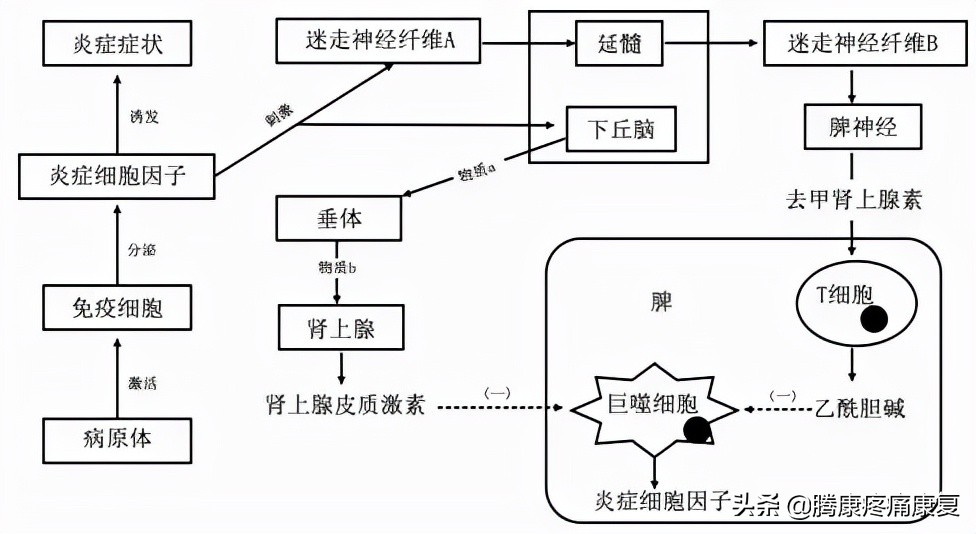 理疗对骨性关节炎有什么作用,骨性关节炎炎症怎么消除