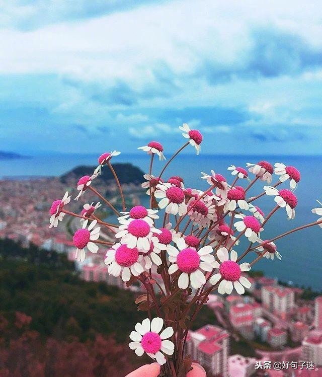 早安经典语录发朋友圈,早安正能量接地气简单语录